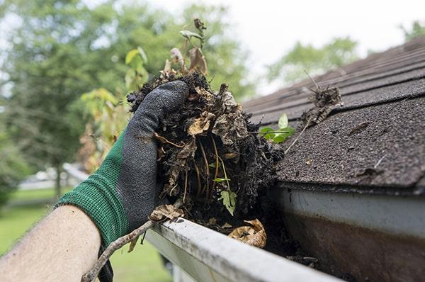 gutter cleaning can help prevent foundation damage by directing water away from the property and reducing pooling near the foundation